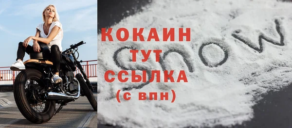 ПСИЛОЦИБИНОВЫЕ ГРИБЫ Костерёво