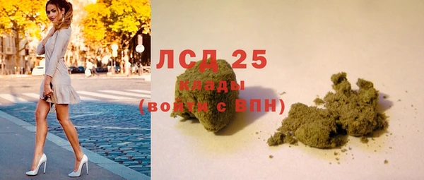 ALPHA PVP Кодинск
