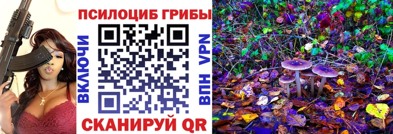 Галлюциногенные грибы Cubensis  Купить закладки  Геленджик 